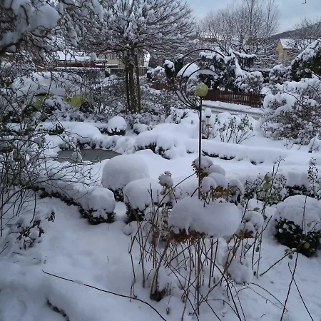 Neuner Ebermannstadt