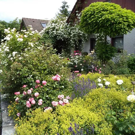 Neuner Ebermannstadt
