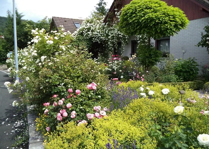 Neuner Ebermannstadt