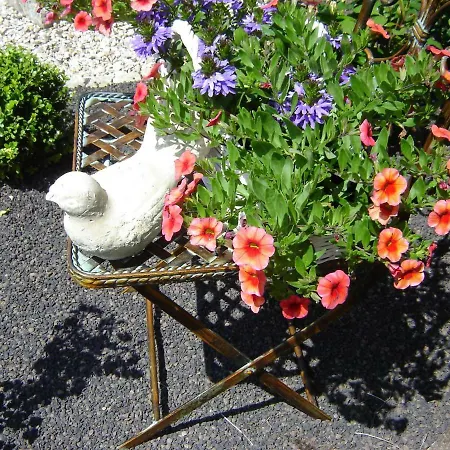 Neuner Appartement Ebermannstadt